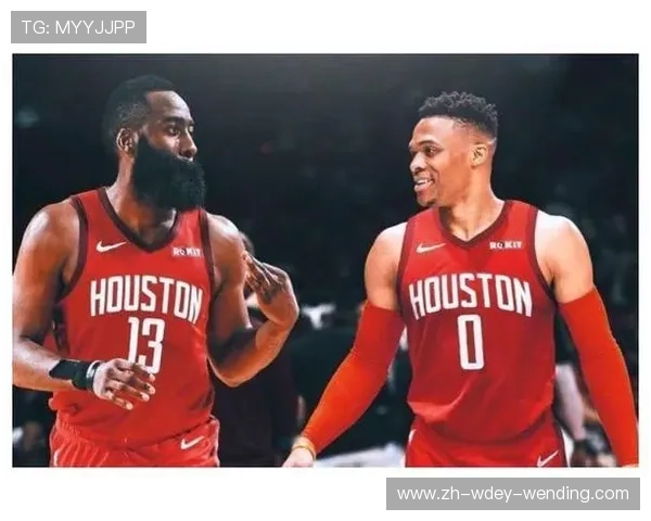 2020年火箭队主要球员年薪统计与薪资对比