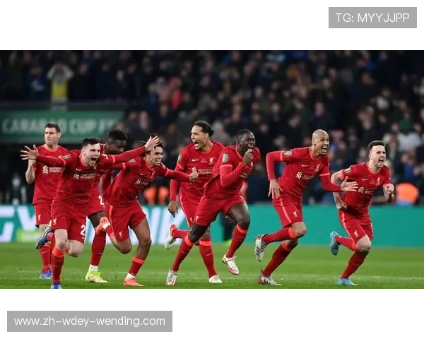 水晶宫队球员2025赛季简历与核心球员介绍